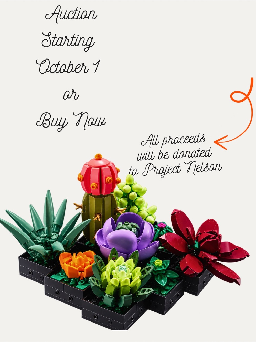 ⚕️NIB LEGO Botanical Collection Succulents